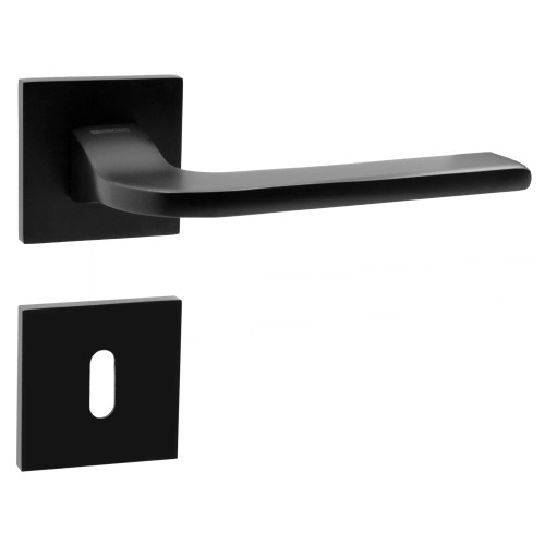Maestro - IBIZA BB